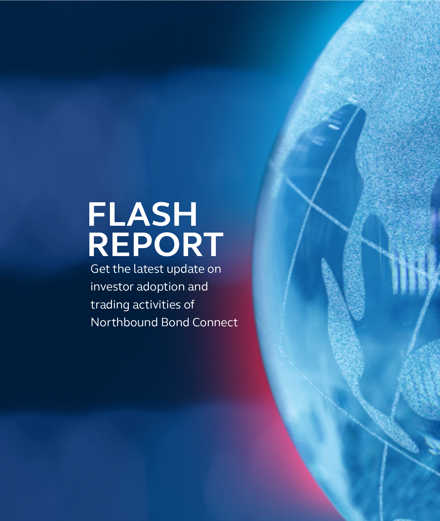 Flash Report